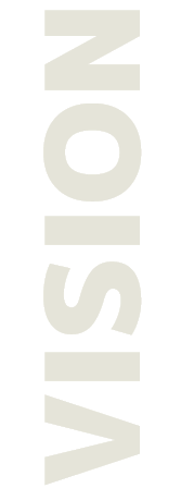 VISION